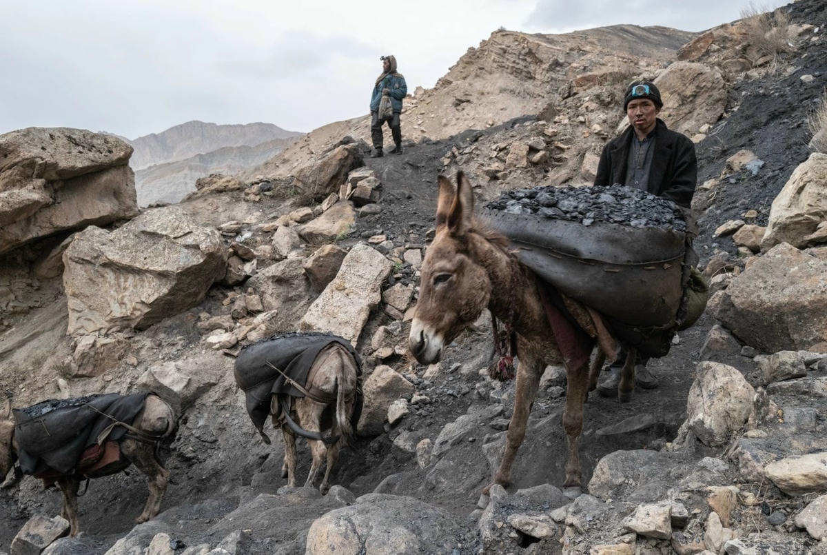 Nhiều gia đình không có lựa chọn nào khác ngoài việc cho con cái ra ngoài để kiếm thêm thu nhập. Ảnh: VICE.