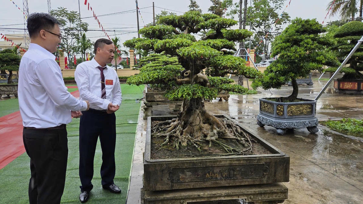 Vị Khê là phường có nghề làm cây cảnh nổi tiếng, phát triển nghề làm cây cảnh gắn với phát triển du lịch sinh thái là hướng chính phát triển kinh tế của phường trong nhiệm kỳ mới. Trong ảnh: Cây cảnh được trưng bày tại đại hội Đảng bộ phường. Ảnh: Duy Hưng.