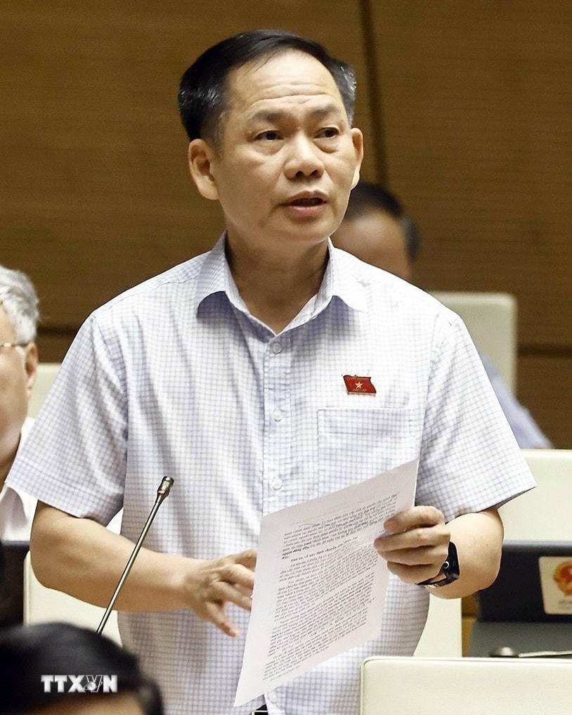 Ông Trần Đình Gia, Tỉnh Ủy viên, Phó Trưởng Đoàn đại biểu Quốc hội chuyên trách tỉnh Hà Tĩnh phụ trách Đoàn đại biểu Quốc hội khóa XV tỉnh Hà Tĩnh. (Ảnh: TTXVN)