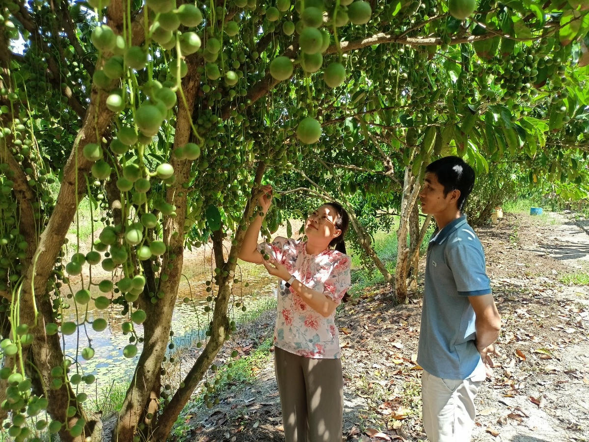 Huyện U Minh đẩy mạnh phát triển hạ tầng giao thông.