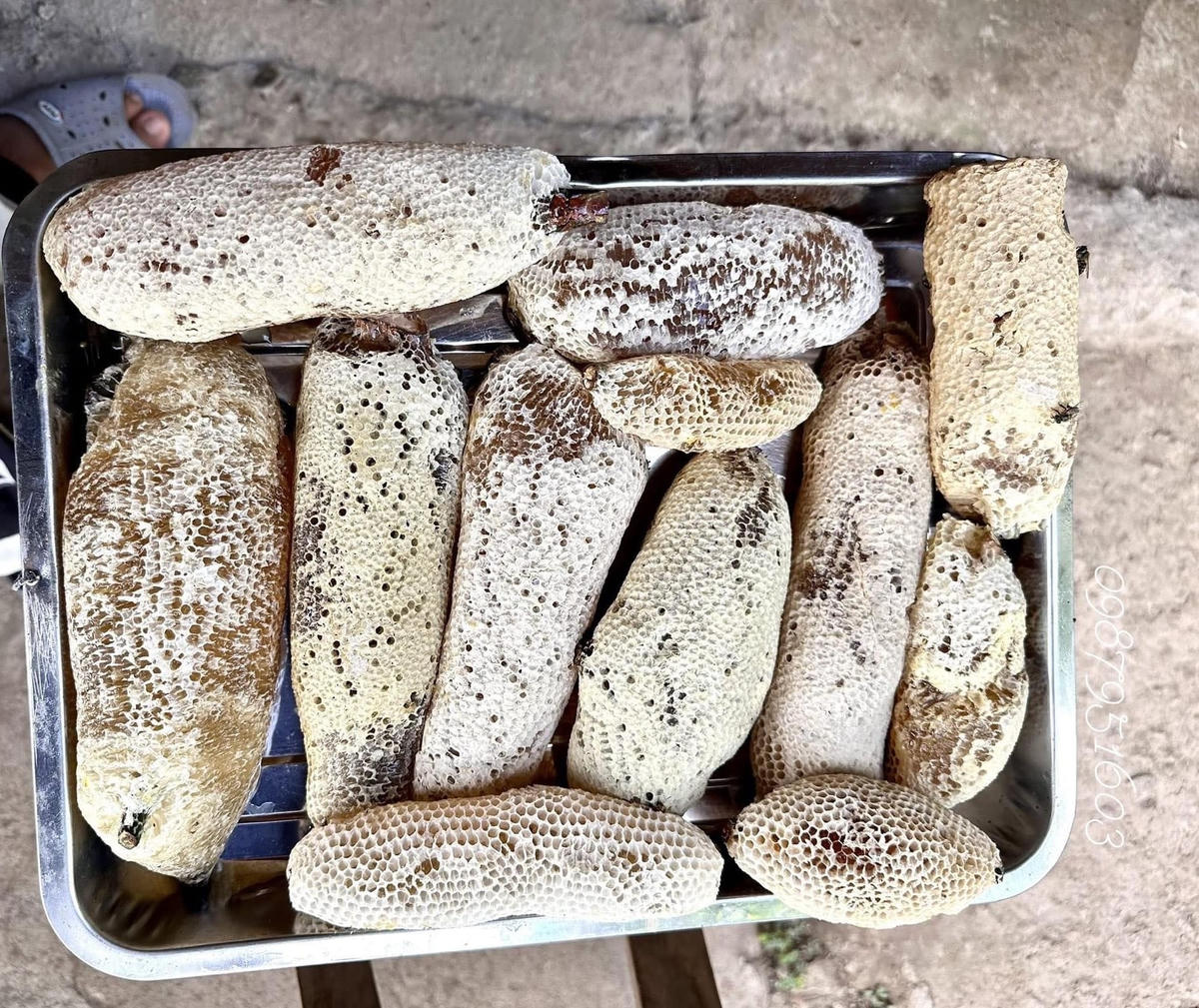 Ảnh 3-Săn mật ong ruồi ở rừng U Minh