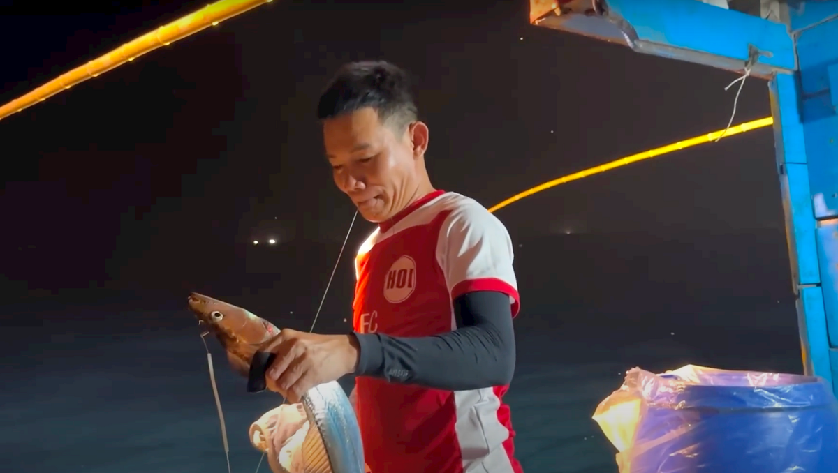 Ảnh 2-Ngư dân vui mùa cá hố