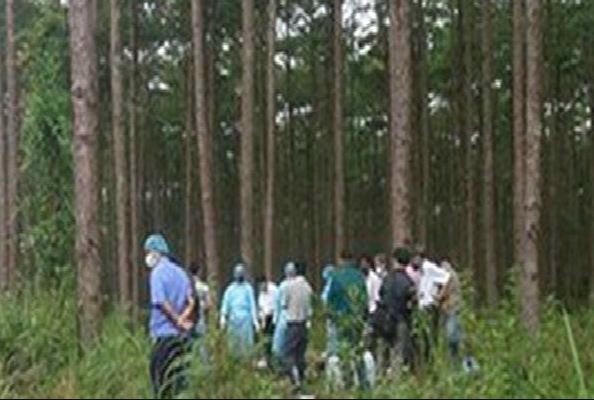 Hai người được phát hiện thương vong tại khu vực đồi thông thôn Ngàm Soọc. Ảnh minh họa