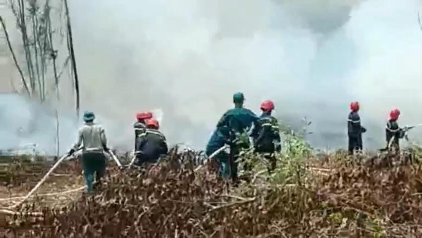 Trên đường trở về sau khi hoàn thành diễn tập, lực lượng thuộc Phòng Cảnh sát PCCC và CNCH Công an tỉnh Quảng Trị nhận được tin đám cháy rừng tại xã Vĩnh Sơn.