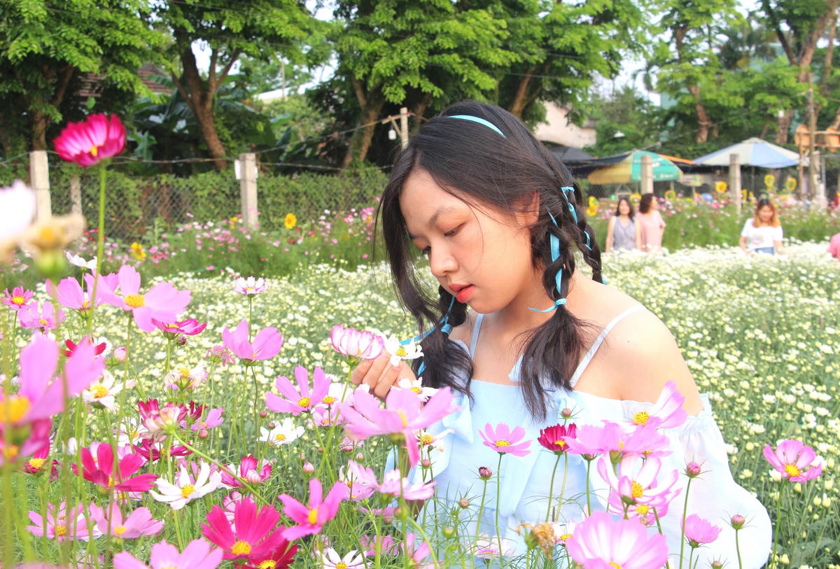 Một cô gái ghi lại khoảnh khắc bên những loài hoa đang rực rỡ.