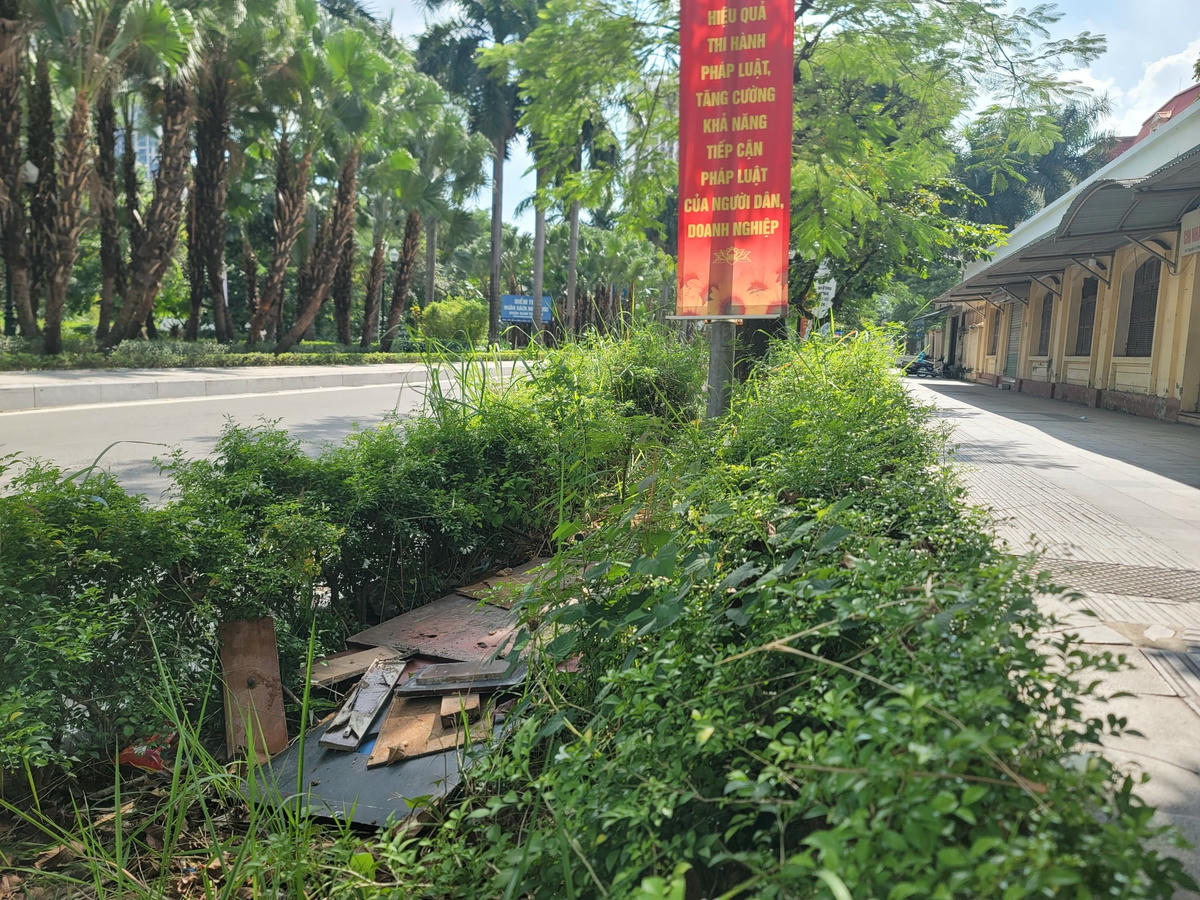 Bà Trần Thị Thu (Nam Từ Liêm, Hà Nội) cho biết, lâu lắm rồi không thấy ai cắt tỉa, dọn dẹp cỏ dải phân cách ở đây. 