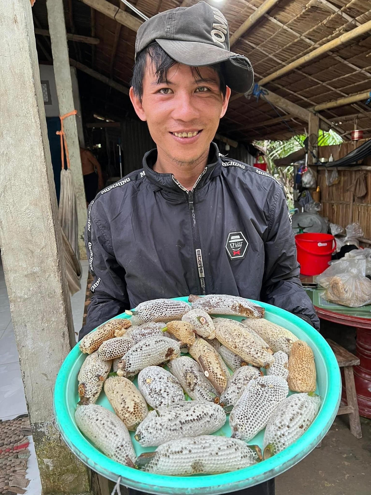 Ảnh 2-Săn mật ong ruồi ở rừng U Minh