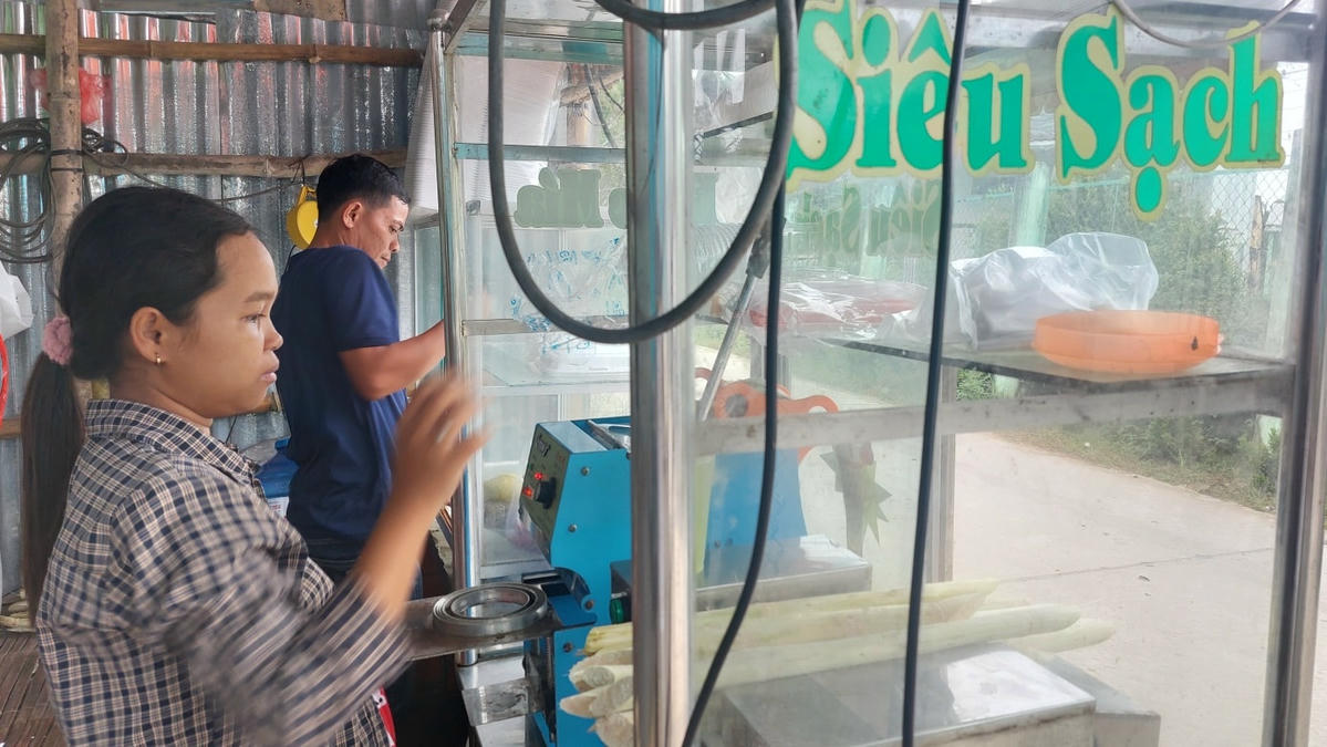 Chị Sơn Thị Hồng Anh (ấp Đai Úi, xã Phú Mỹ, huyện Mỹ Tú) có thu nhập ổn định 200.000đ/ngày nhờ nguồn vốn chuyển đổi nghề của Chương trình MTQG 1719 hỗ trợ.