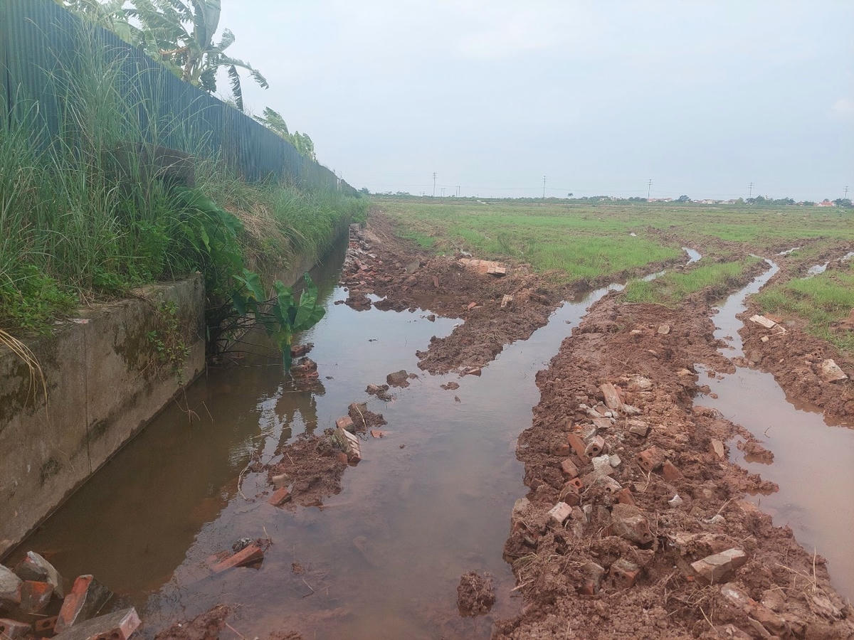 Kênh mương duy nhất phục vụ tưới cho khoảng 60ha đã bị đơn vị thi công KCN Trung Hà tự ý phá dỡ mất gần 400m