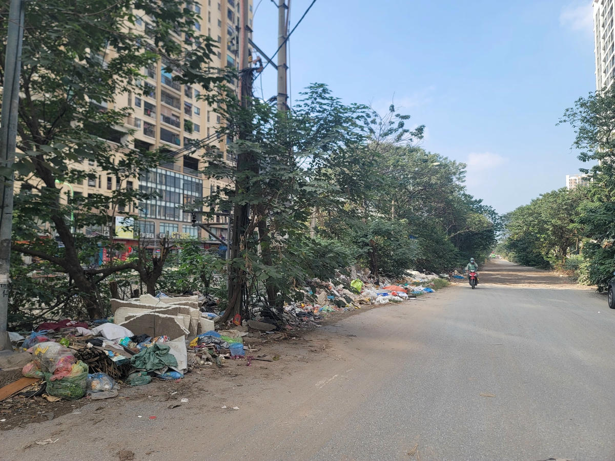 Hai bên đường cây cối không được quy hoạch, chăm sóc, cắt tỉa, mặt đường chi chít ổ voi, ổ gà, rác thải tràn lan, chất đống cả quãng dài.
