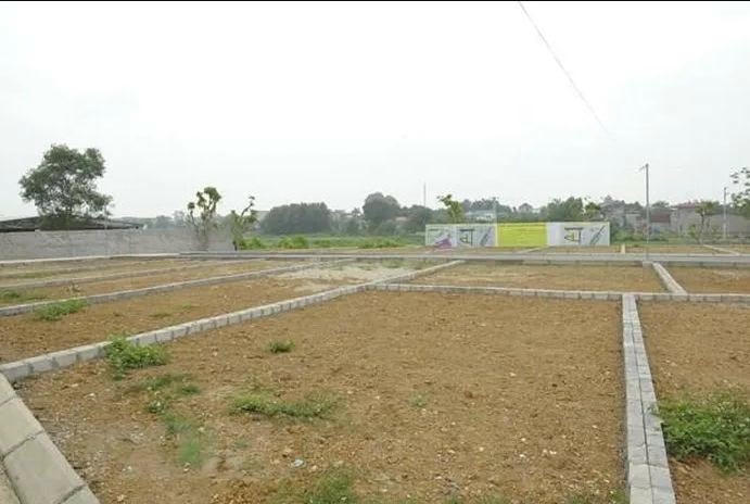 UBND TP Hà Nội yêu cầu siết chặt quản lý hoạt động đấu giá quyền sử dụng đất. Ảnh minh họa: TTXVN