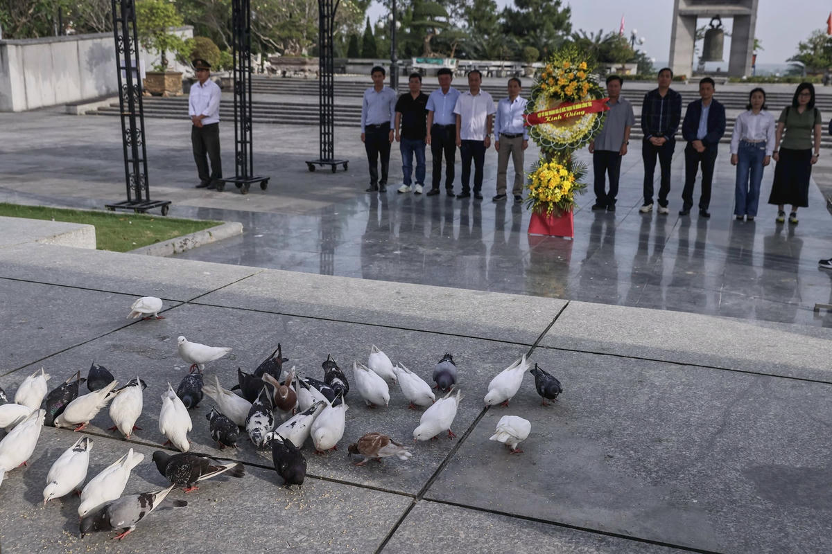 Đàn chim bồ câu hoà bình ở Nghĩa trang Liệt sĩ Quốc gia Đường 9. Ảnh Quang Vinh. 