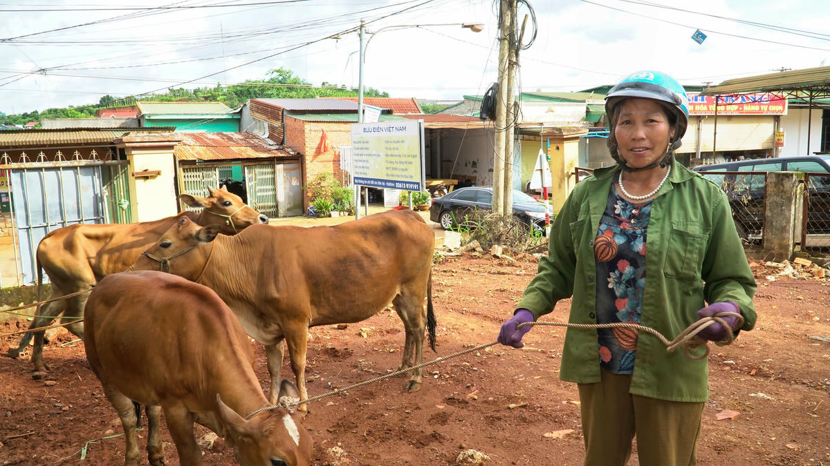 Các hộ dân nhận được bò giống hứa với Đoàn công tác sẽ chăm sóc bò thật tốt để không phụ tấm lòng của chính quyền dành cho gia đình.