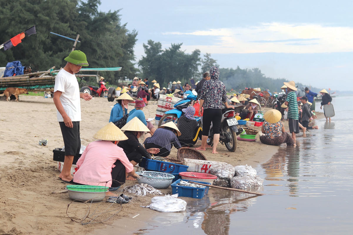 Chợ cá Quảng Nham tấp nập vào sáng sớm.  