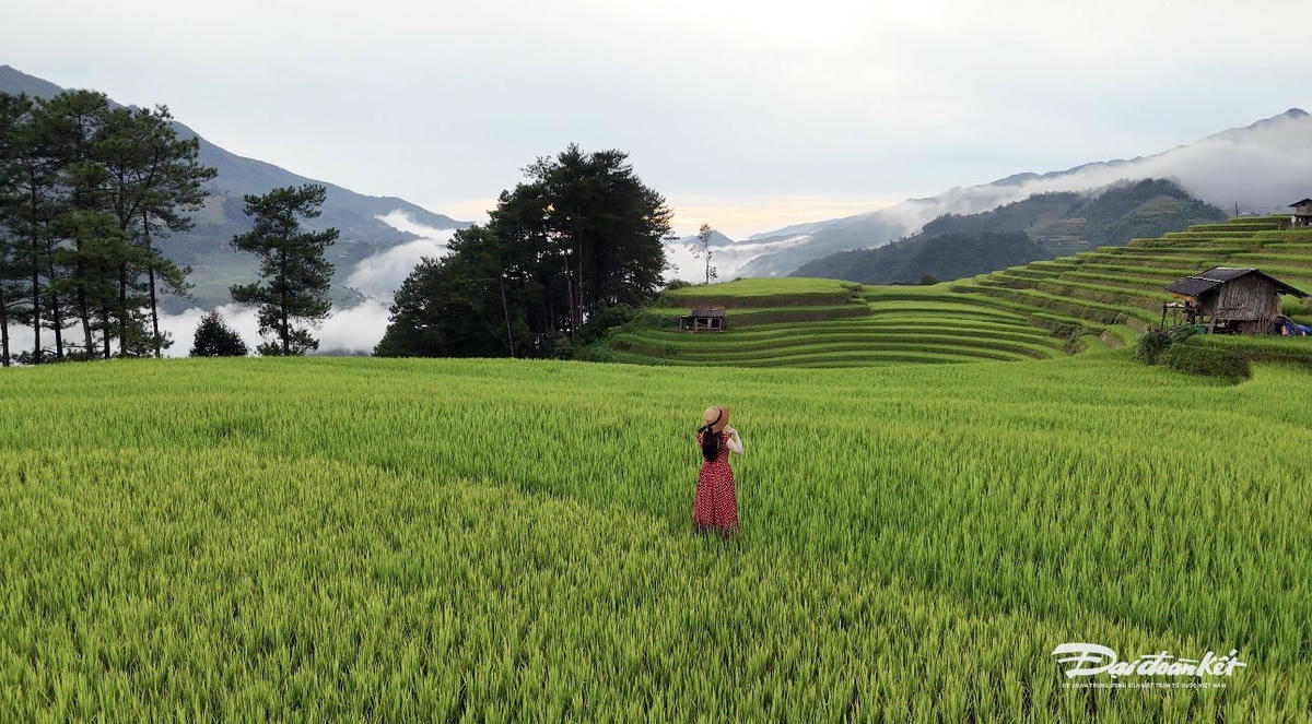 Du khách hòa mình vào không gian thiên nhiên tươi đẹp của Mù Cang Chải, nơi họ cùng khám phá những thửa ruộng bậc thang xanh mướt và mây núi trùng điệp. Ảnh: Nguyễn Quý.