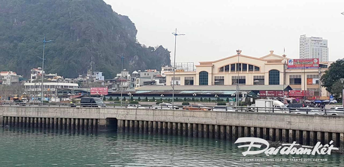 Khu vực chợ Hạ Long 1 được cho là nơi ô nhiễm không khí và nước biển nhiều nhất. Ảnh: Nguyễn Quý.