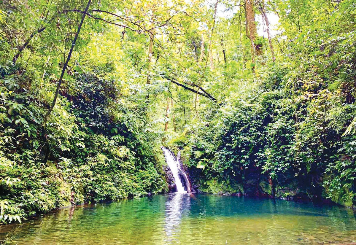 4. Thác nước nhỏ đổ xuống lòng suối trong vắt giữa tán rừng xanh mướt