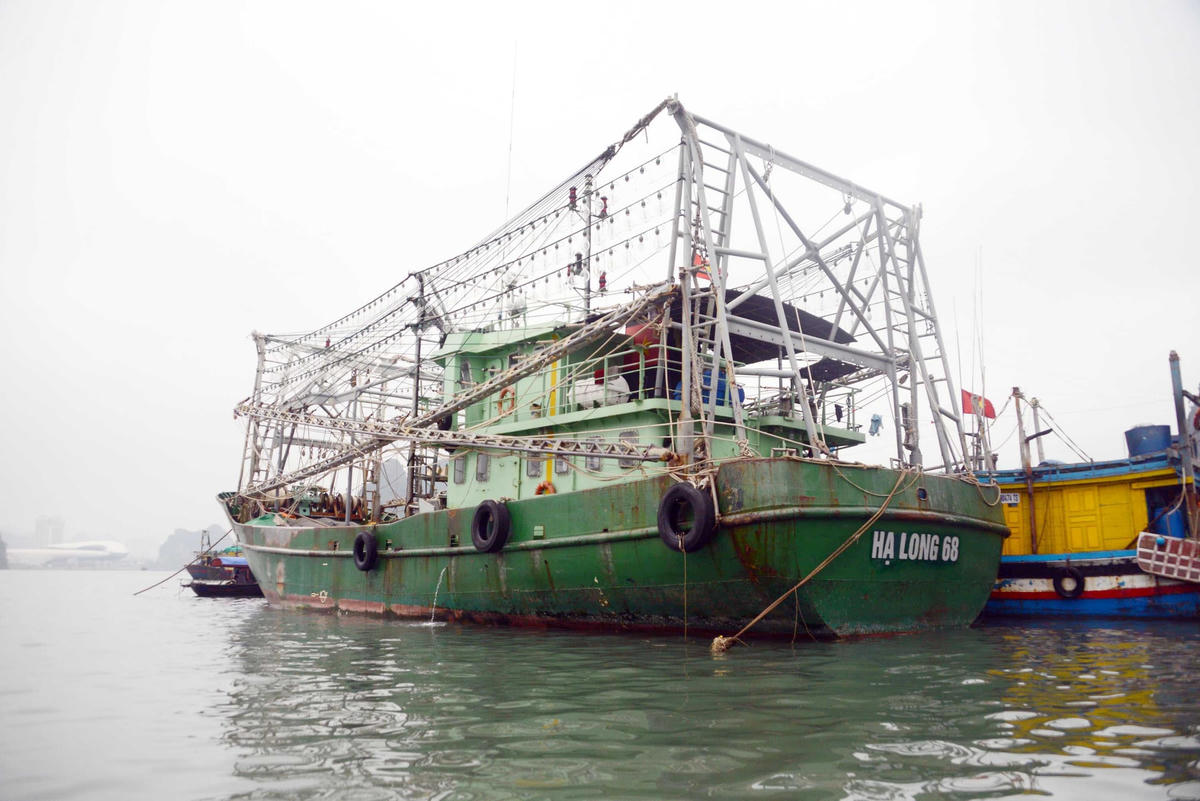  Lắp thiết bị giám sát hành trình cũng là quy định bắt buộc đang được tỉnh Quảng Ninh tập trung xử lý để khắc phục những cảnh báo của Ủy ban châu Âu về chống khai thác hải sản bất hợp pháp, không báo cáo và không theo quy định tại Quảng Ninh.