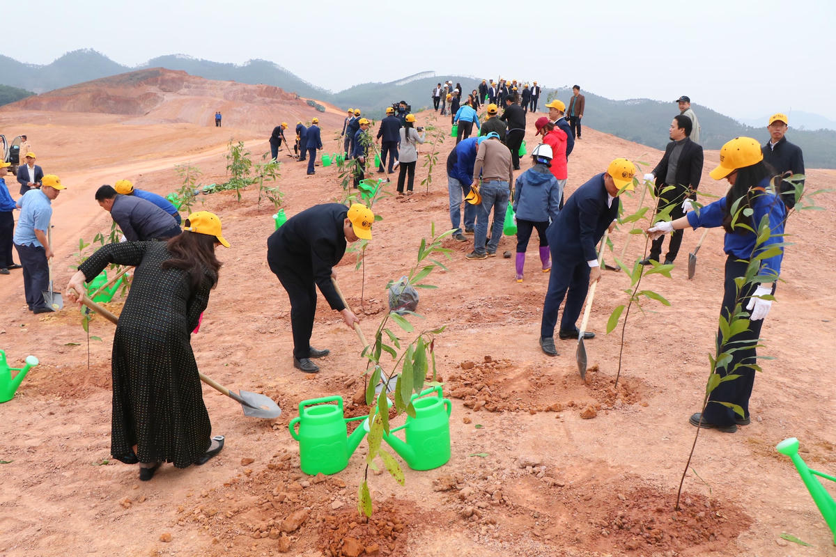 Dự kiến đợt này sẽ trồng 1.000 đầu tiên tại dự án