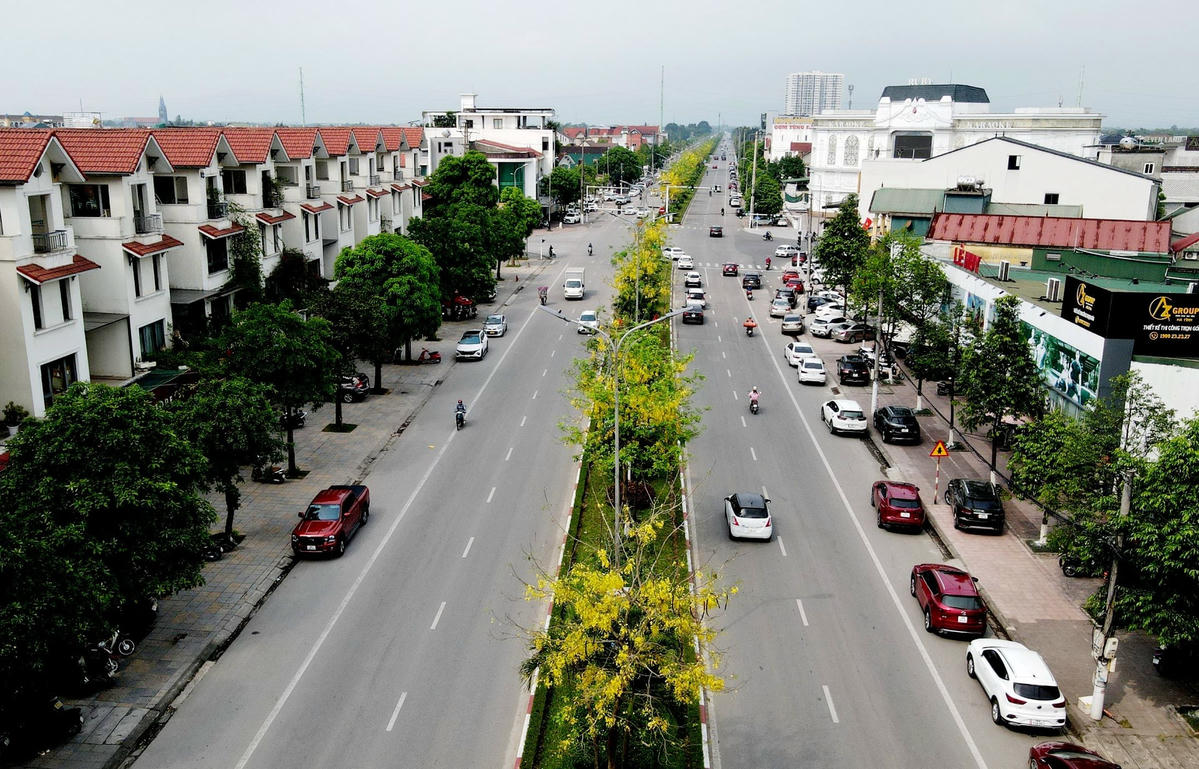 Tuyến đường Hàm Nghi đang được nhuộm vàng bởi muồng hoàng yến, tô điểm cho phố phường Hà Tĩnh thêm phần rực rỡ. Ảnh: Cẩm Kỳ