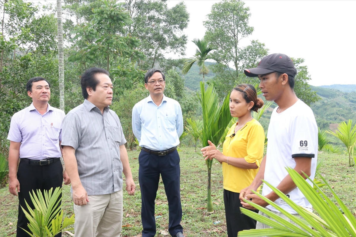 Lãnh đạo tỉnh Quảng Ngãi chỉ đạo sát sao các địa phương tập trung triển khai hiệu quả Chương trình MTQG 1719.