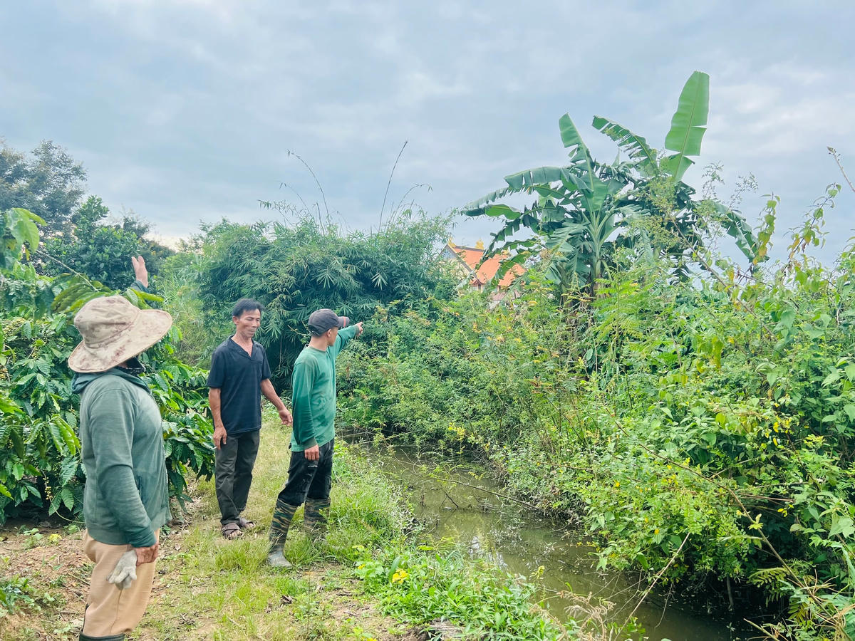 Nước thải từ trang trai nuôi heo chảy tràn ra mương sát bên Chùa Phước Thiện.