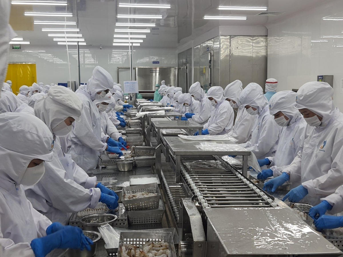 Các doanh nghiệp xuất khẩu thủy sản ở Bạc Liêu đã nỗ lực vượt khó góp phần đưa kim ngạch xuất khẩu tỉnh đạt kế hoạch đề ra