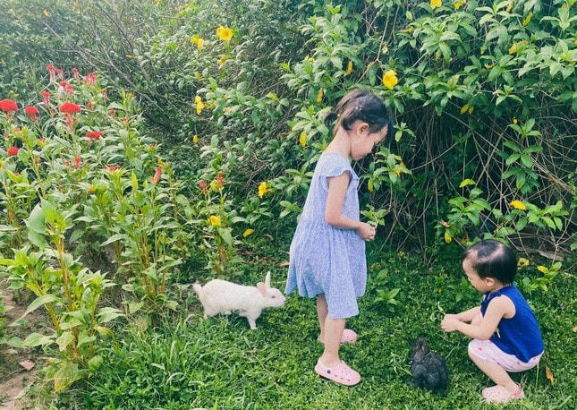 Ông bố kể chuyện tìm thấy nơi ở 'định mệnh' cho cả gia đình sau một lần đi lạc ảnh 4