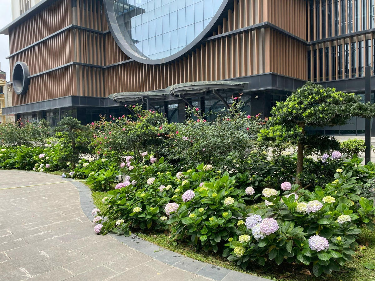 Khuôn viên cây xanh tại Hinode City tạo không khí trong lành cho cư dân. Ảnh: HC