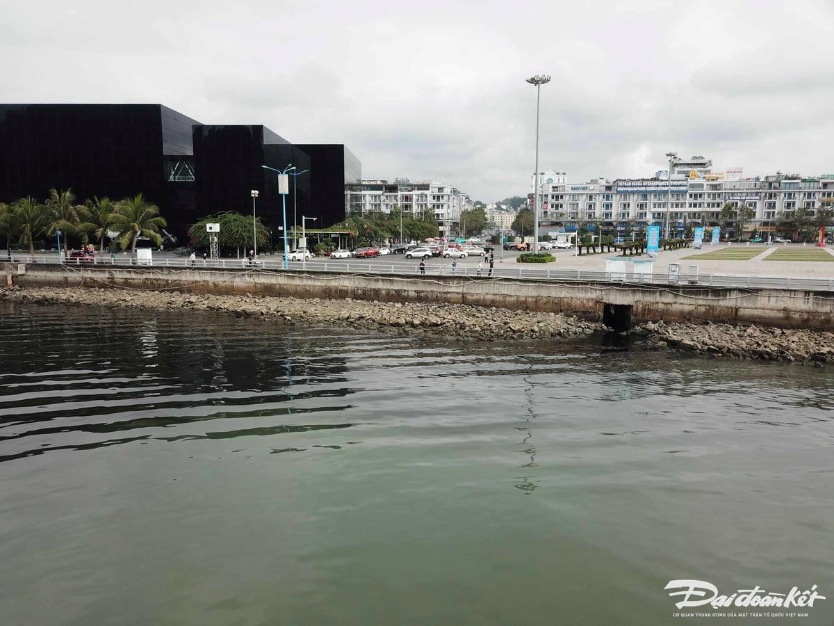 Vào thời điểm nước thủy triều đứng, mùi hôi thối kéo dài và kinh hoàng nhất. Ảnh: Nguyễn Quý