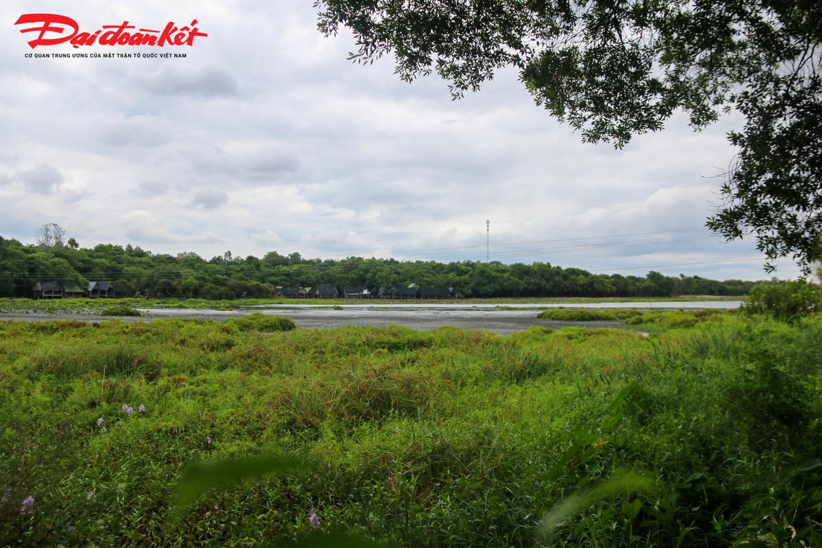 Trằm Trà Lộc có tiềm năng to lớn về phát triển du lịch sinh thái.