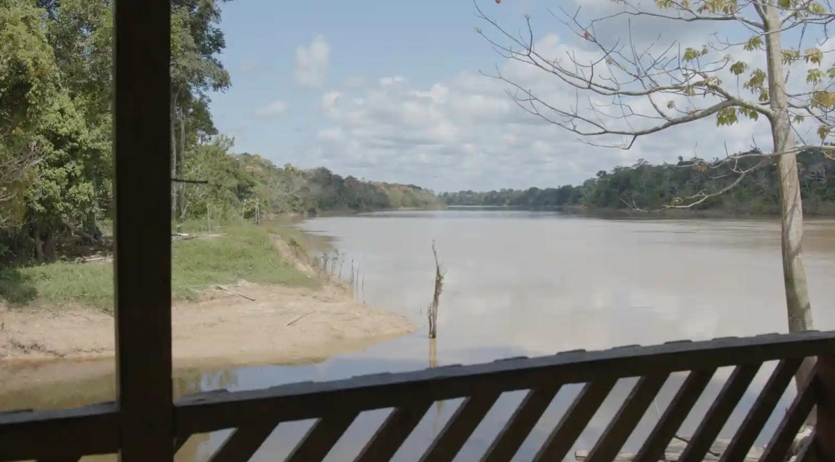 Sông Itaquaí. Ảnh: Danilo do Carmo.