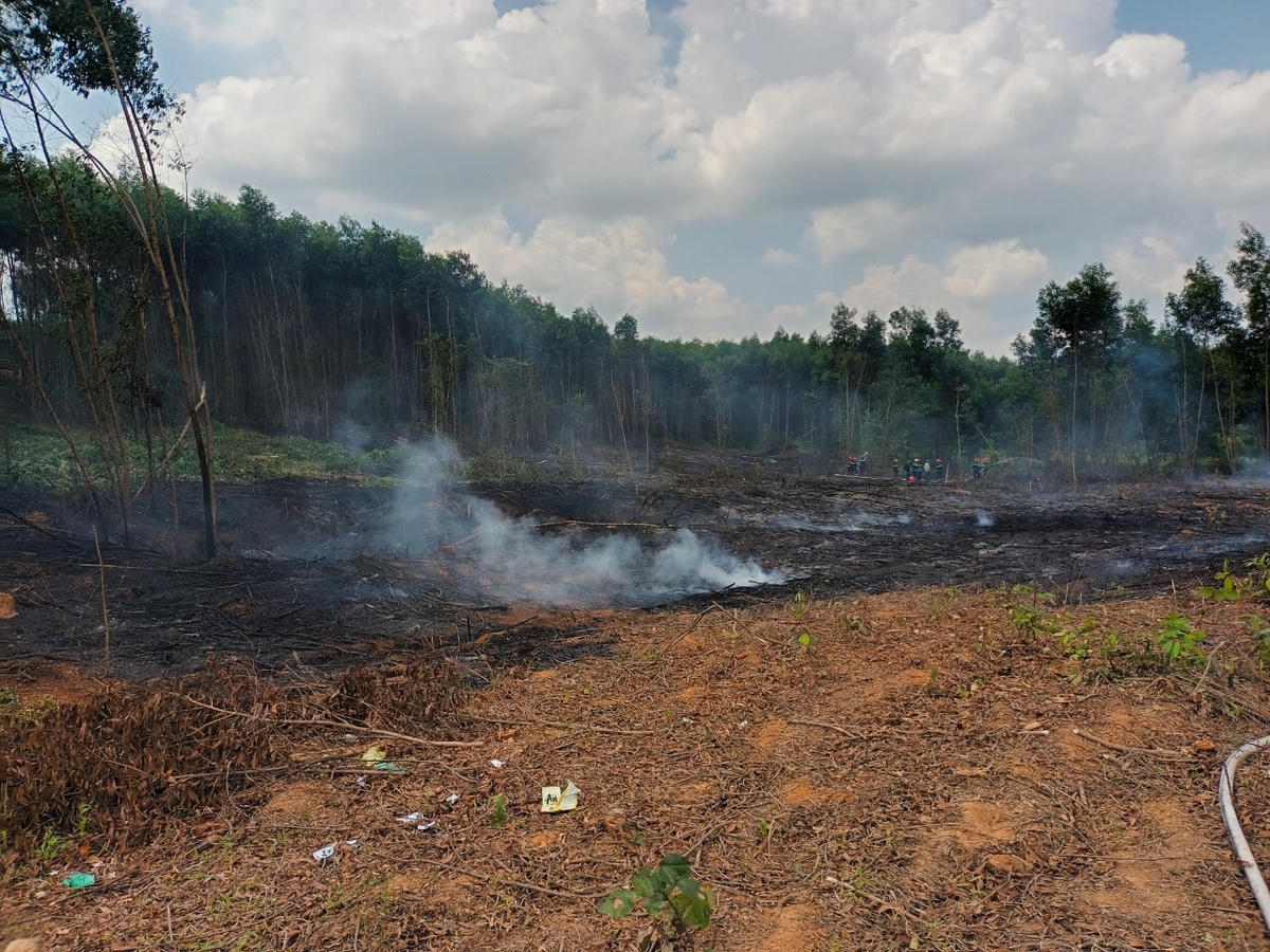 Đám cháy đã được khống chế và không có thiệt hại đáng kể.