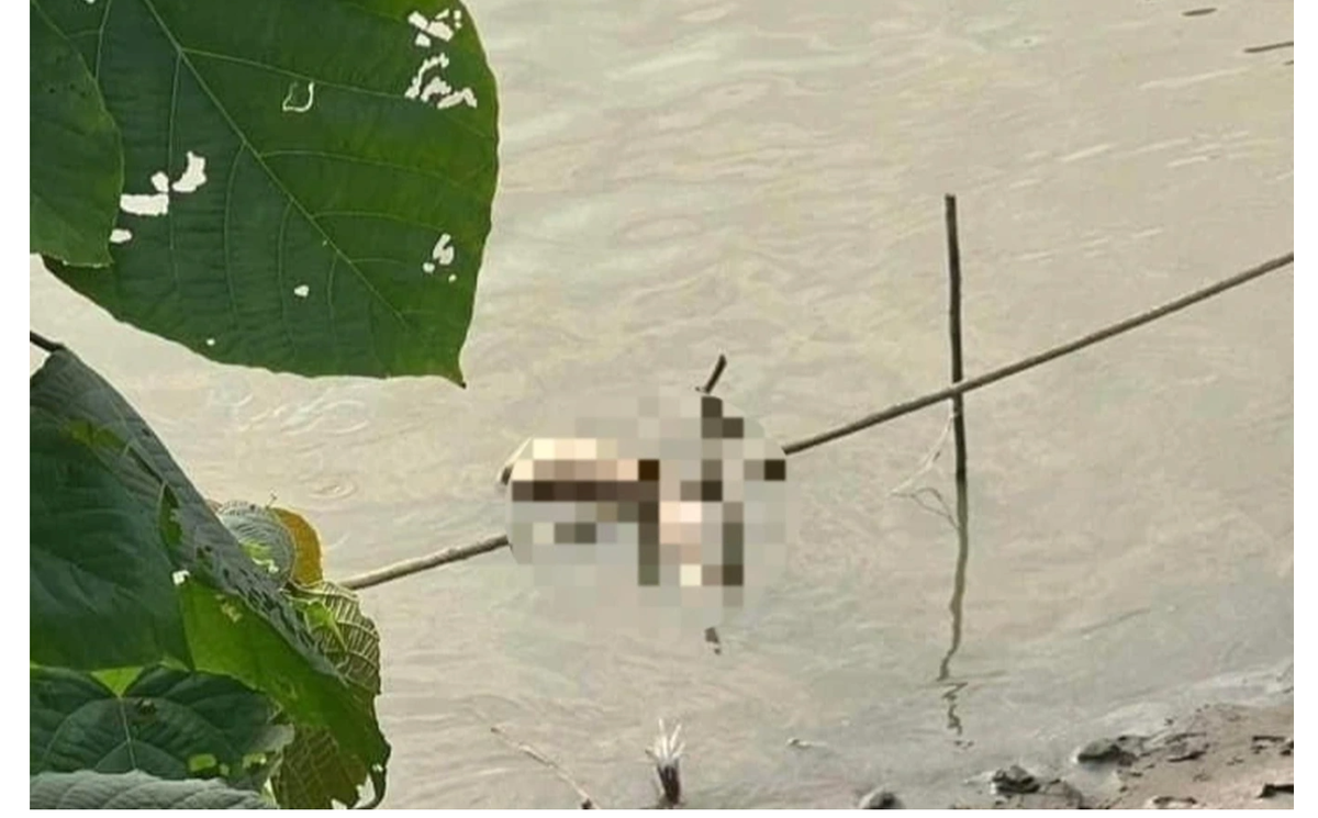 Nơi phát hiện các phần thi thể của nạn nhân. Ảnh: Tiến Báo.