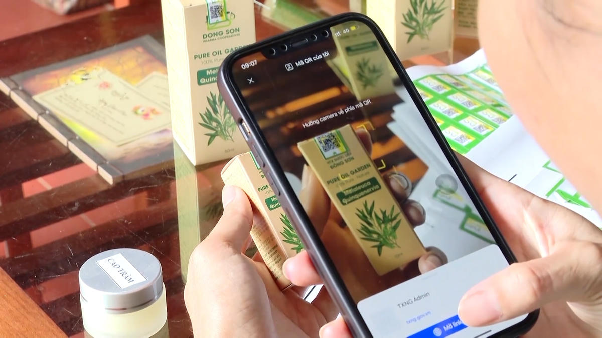 ảnh Hợp tác xã