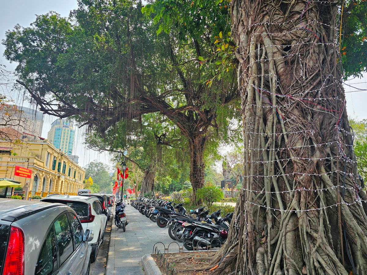 Sinh ra và lớn lên tại Hà Nội, bà Nguyễn Anh Thư (69 tuổi, ở phường Bạch Đằng, quận Hai Bà Trưng) cho biết, không gian bờ hồ đã in sâu và gắn bó với bà từ thời thơ ấu đến nay. 