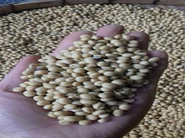 Độc đáo món tương 