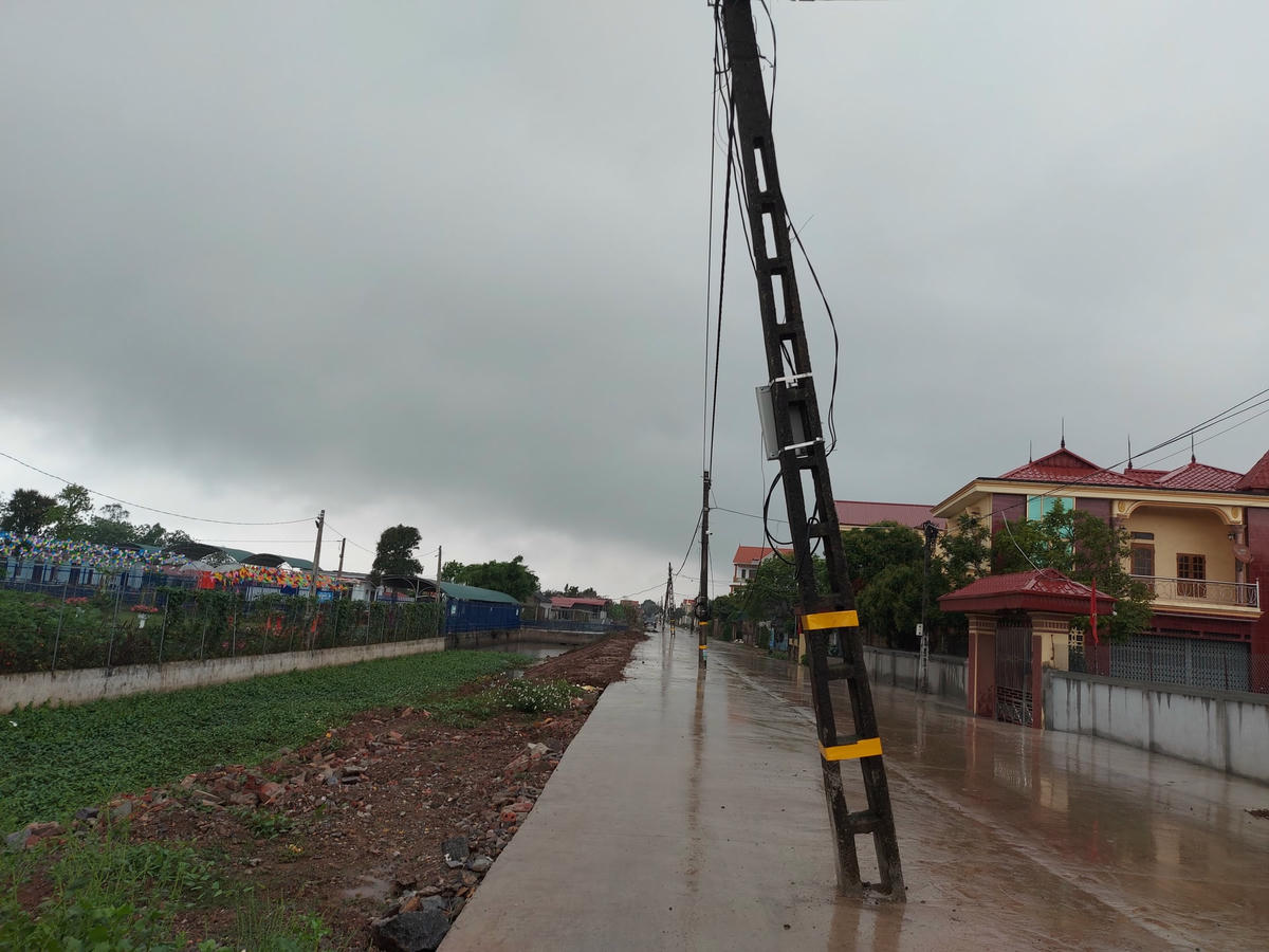 Hoàng loạt cây cột điện trong tình trạng xiêu vẹo, sắp ngã.