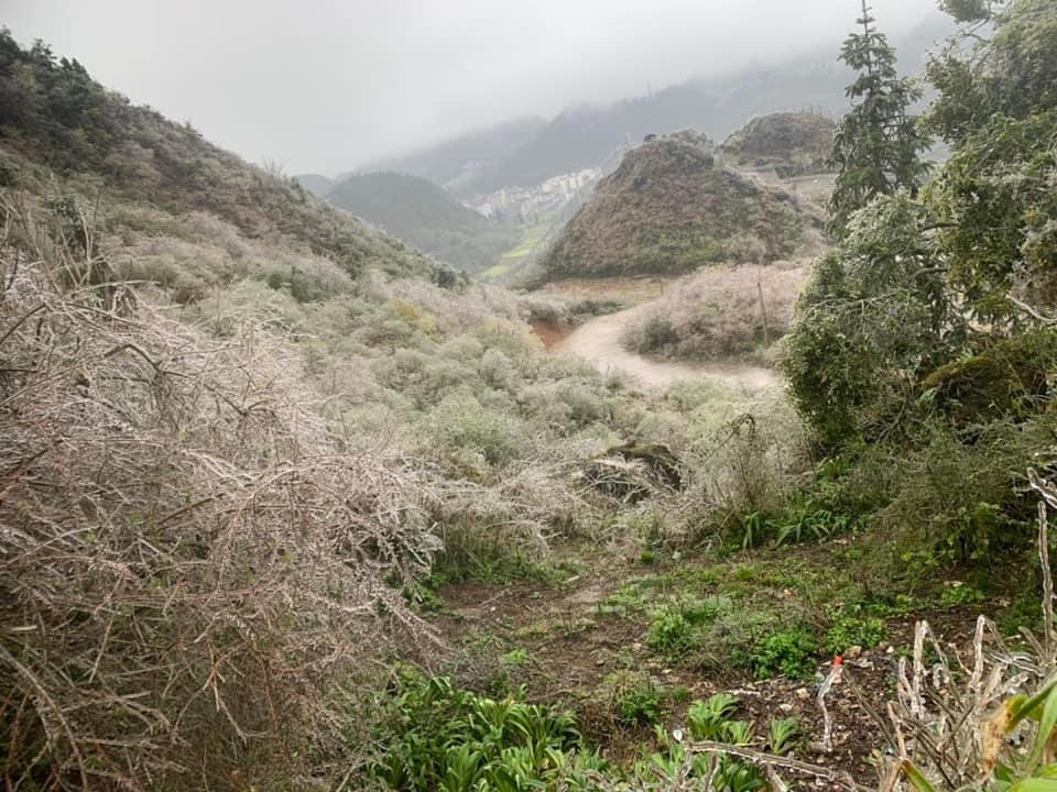 Băng giá xuất hiện trên diện rộng tại huyện Mèo Vạc 