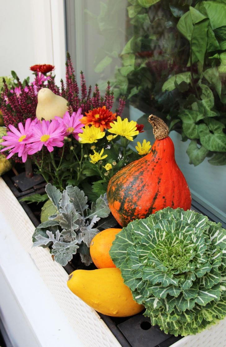 [ẢNH] 19 cách để trồng một khu vườn đẹp trong nhà của bạn