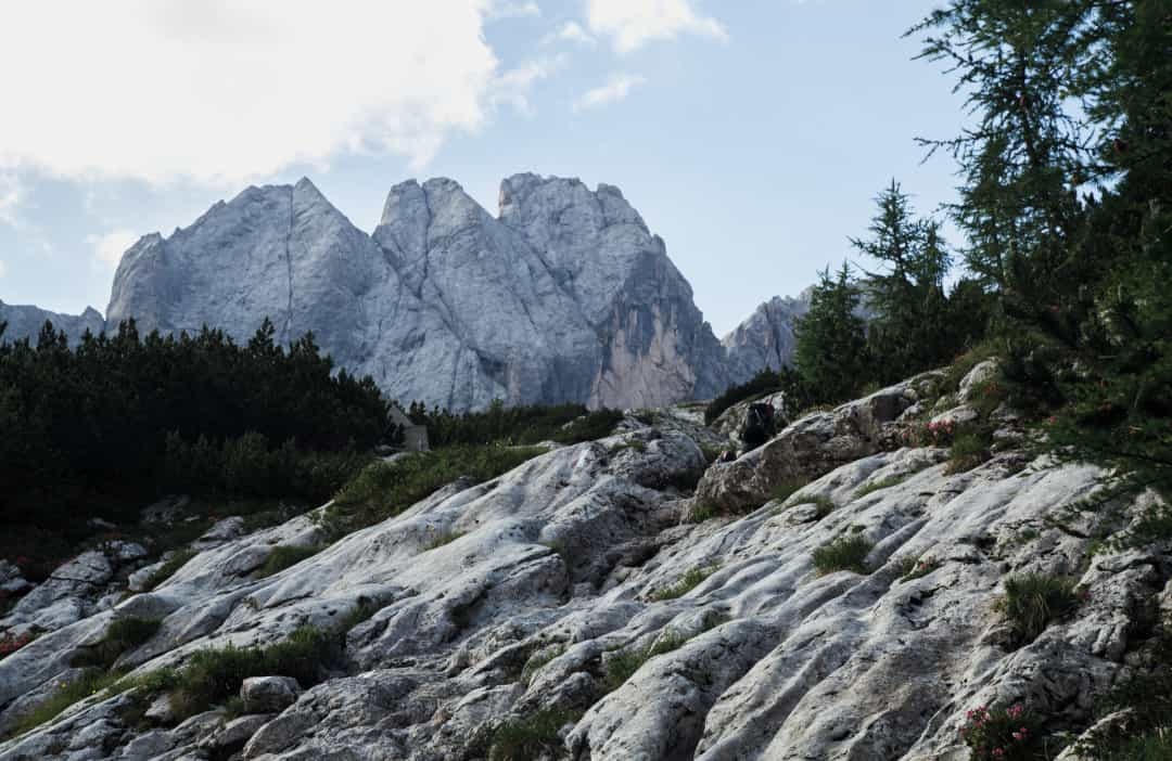 Ước tính có khoảng 10.000 binh lính đã thiệt mạng trong trận tuyết lở. Các nhà sử học cho rằng cả binh lính Ý và Áo đều nã đạn vào ngọn núi, cố gắng kích hoạt một trận tuyết lở để tiêu diệt phía bên kia.