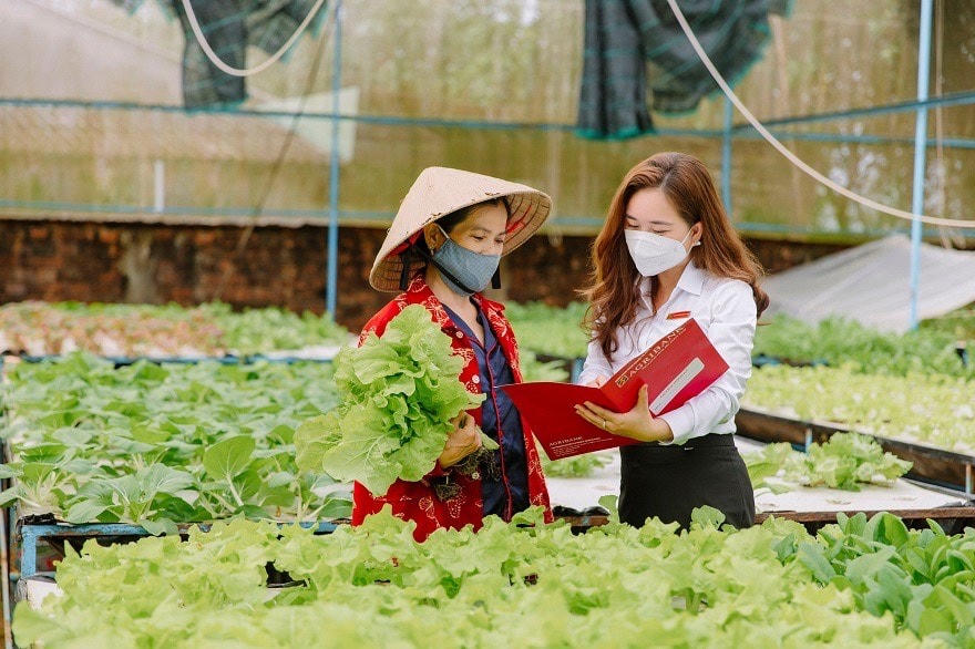 Với bản tính chịu thương, chịu khó người phụ nữ luôn nỗ lực vươn lên thoát nghèo.