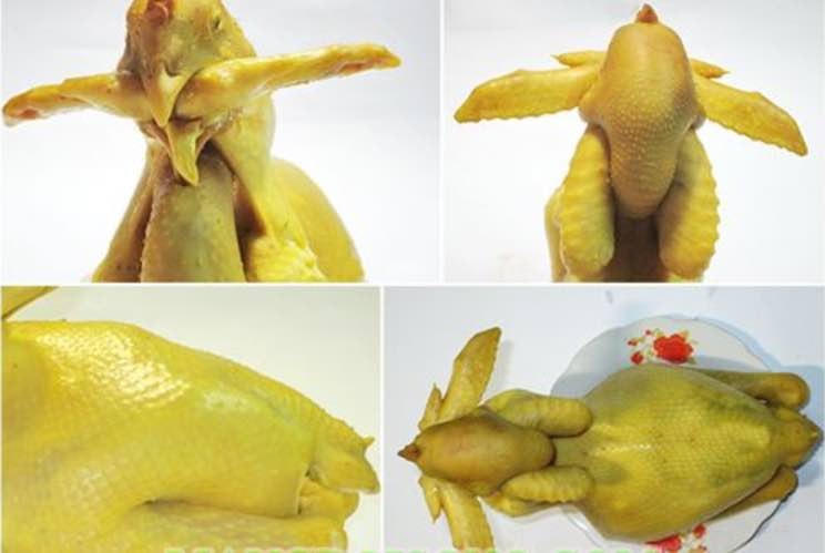 Cách tạo dáng gà chầu. 