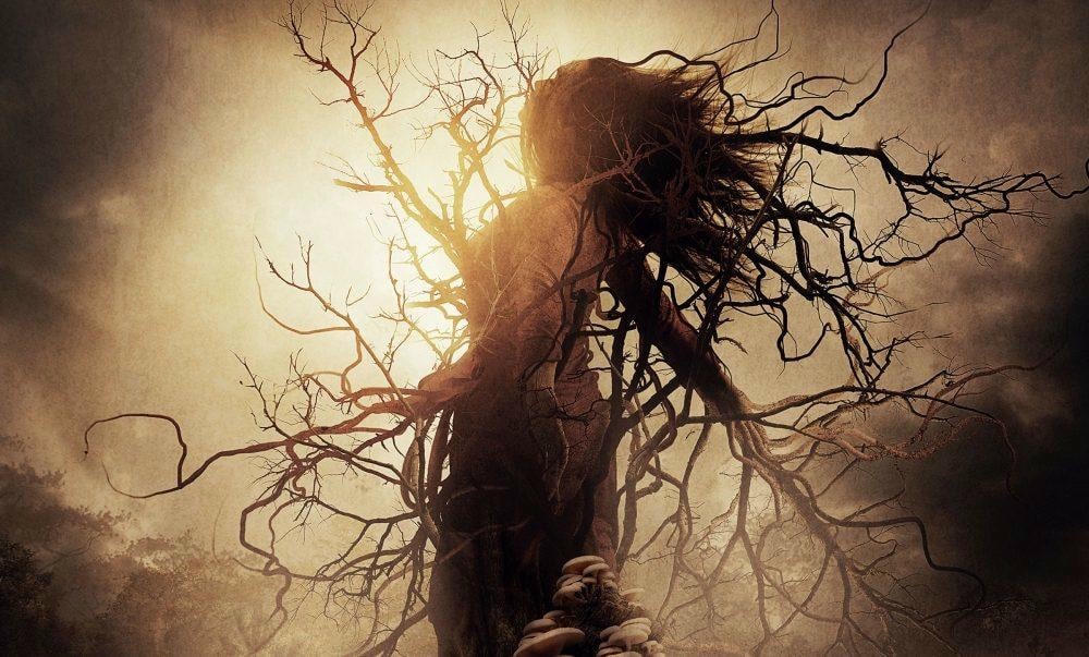 Gaia là bộ phim mang đề tài tâm linh về những câu chuyện kì lạ từ giấc mơ của nhân vật chính trong phim là điều khiến khán giả Việt không khỏi mong chờ.