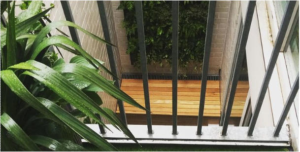 [ẢNH] 19 cách để trồng một khu vườn đẹp trong nhà của bạn