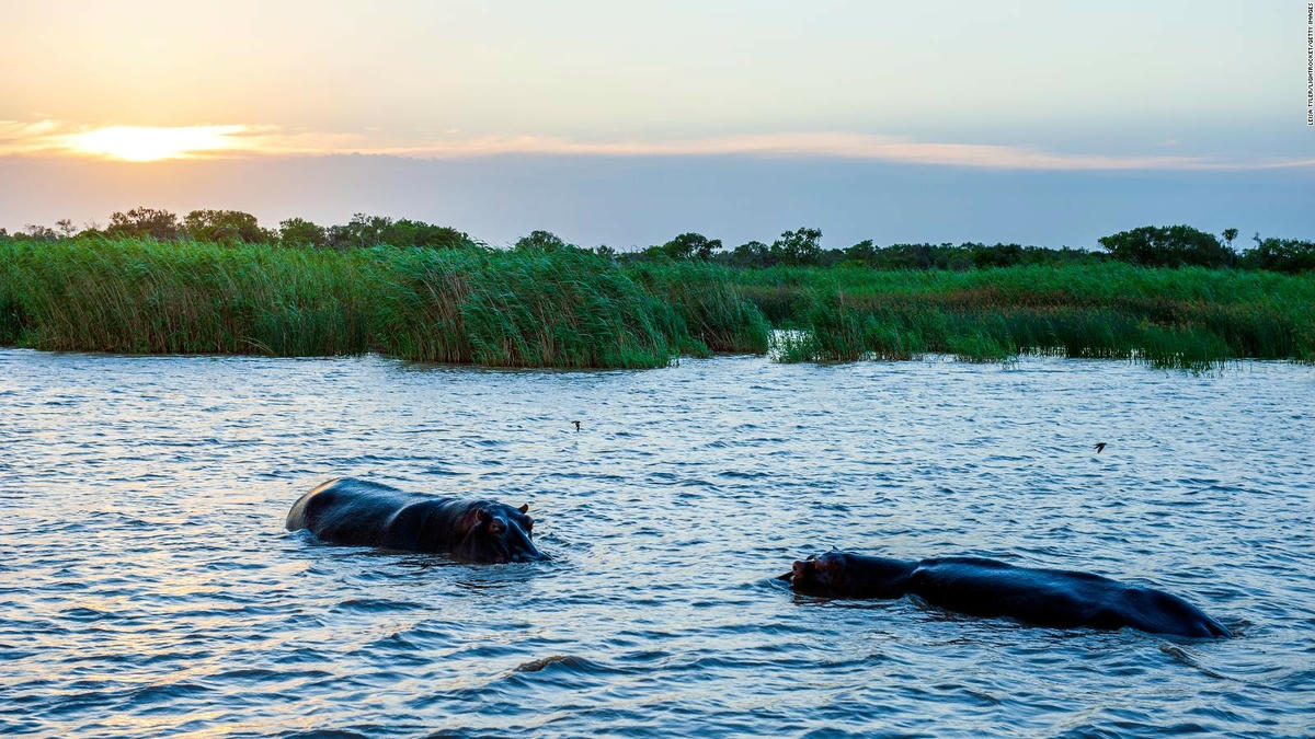 Công viên đầm lầy iSimangaliso trên bờ biển Nam Phi, có hệ sinh thái và loài đa dạng khổng lồ cũng có thể bị tàn phá nghiêm trọng do nước biển dâng. Ảnh: CNN.