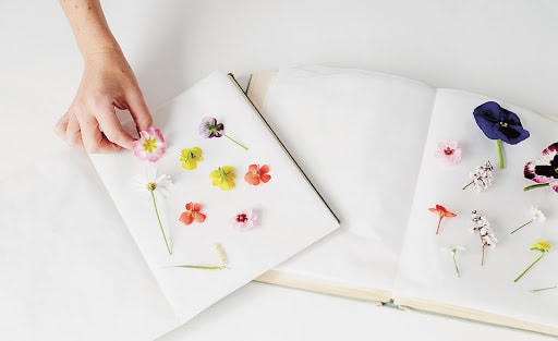 Hoa cánh mỏng, thân không mọng nước dễ ép thành hoa khô.