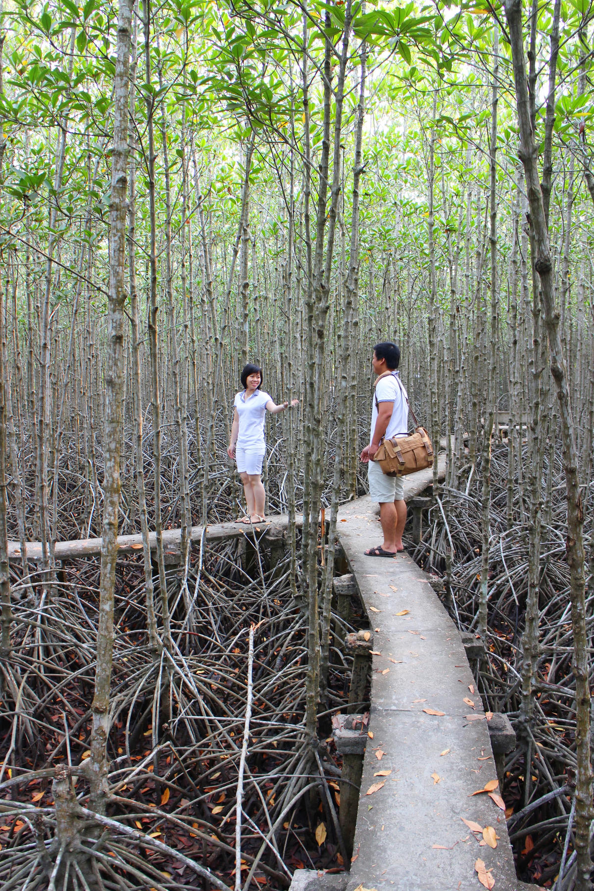Một góc Khu Du lịch Vàm Sác.