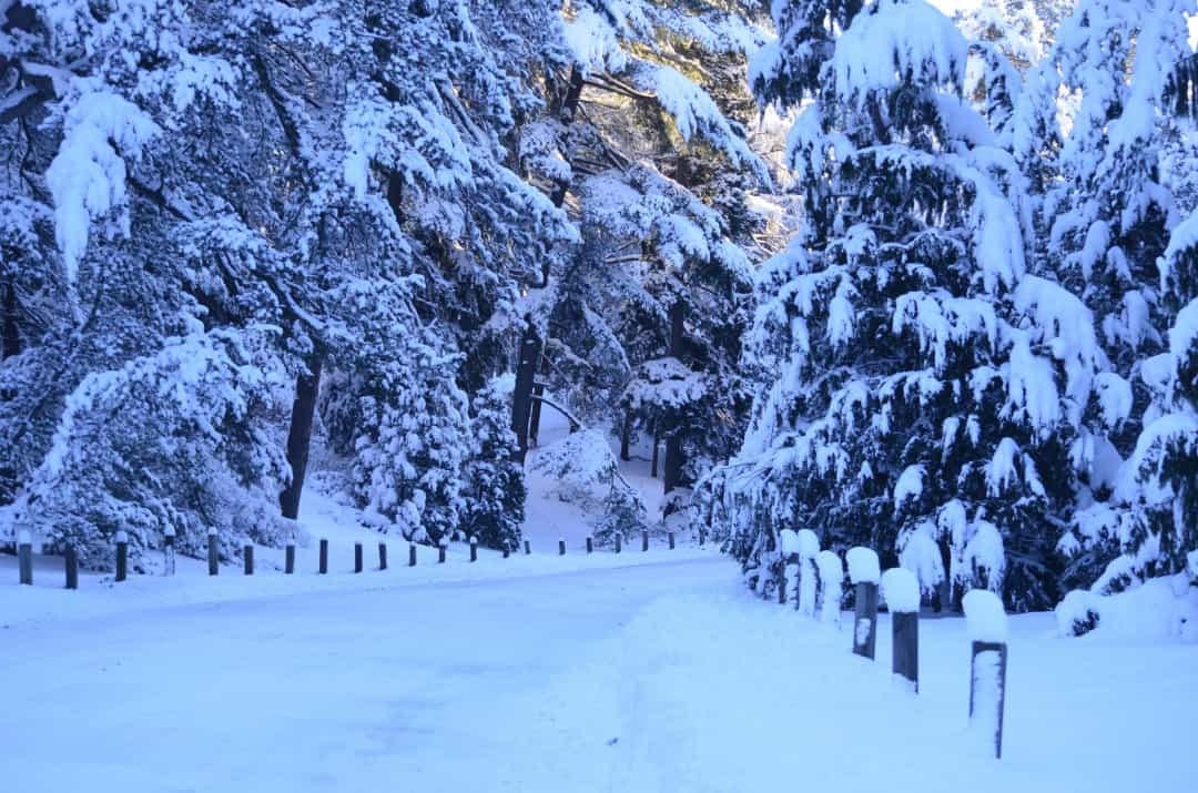 Những nơi tuyết rơi nhiều nhất trên trái đất