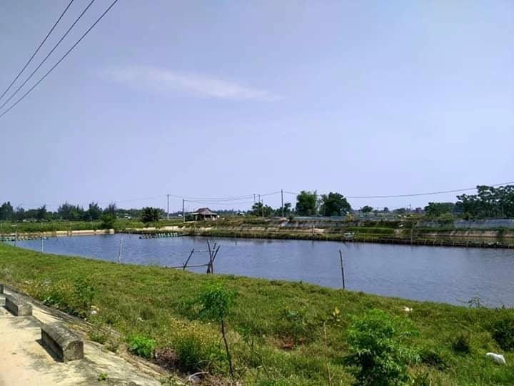 Nơi ông X. sửa máy bơm nước bị điện giật tử vong.